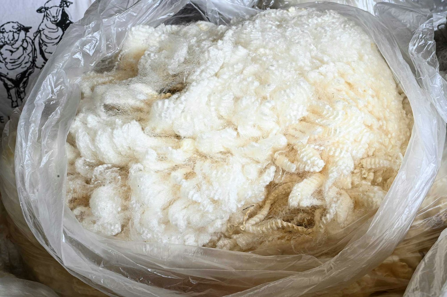 Some of the 100 pounds of fleece that Andrea took home this trip.