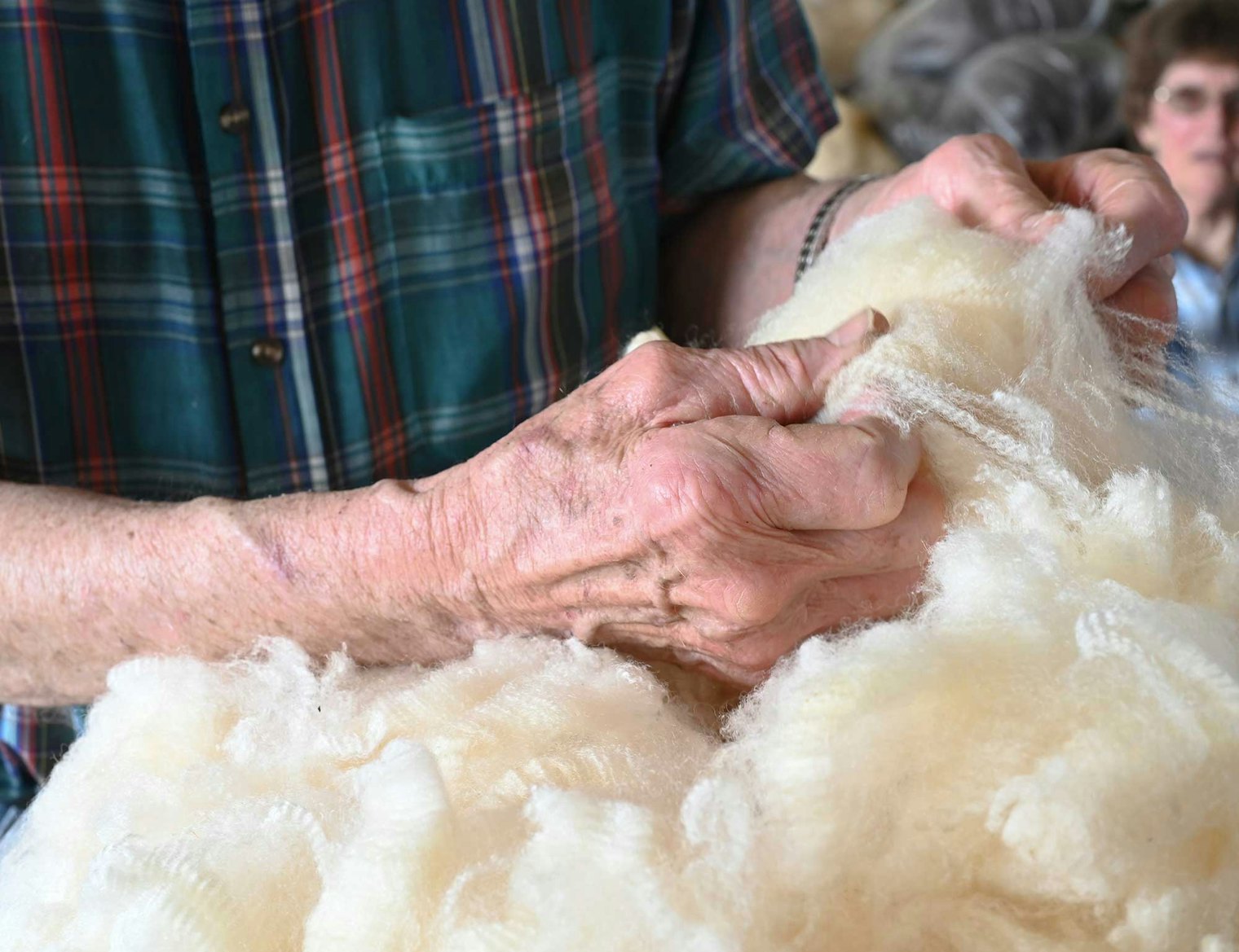 Don is a scrupulous skirter and tenderly raises the sheep to yield long-staple, crimpy, and lustrous fleeces.