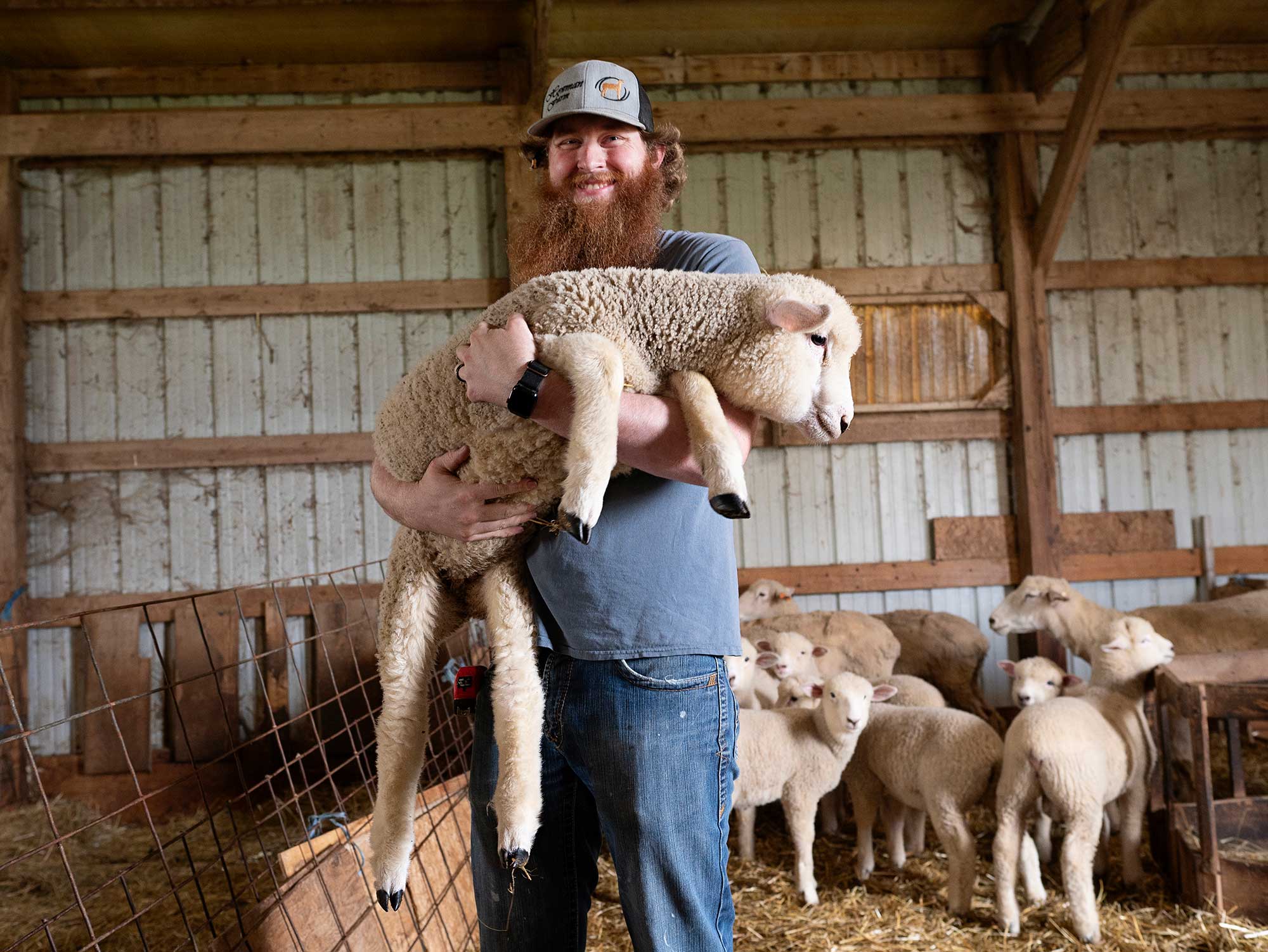 Field Trip: How to Make a Farm Yarn? Go Straight to the Pasture