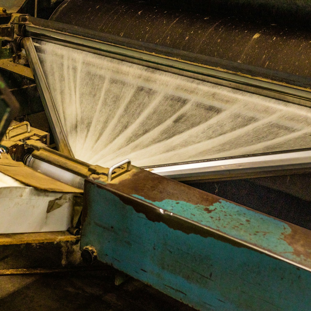 Fine wool “blanket” of unspun wool unrolling from a carding machine being gathered into a narrow bunch