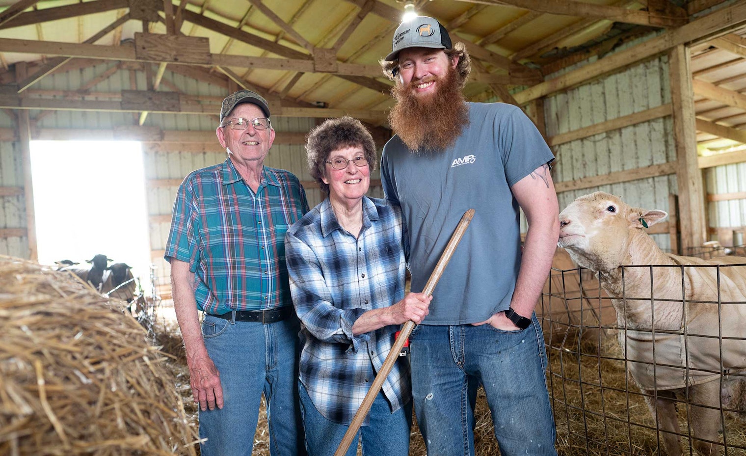 Shepherds in the barn with sheep and hay