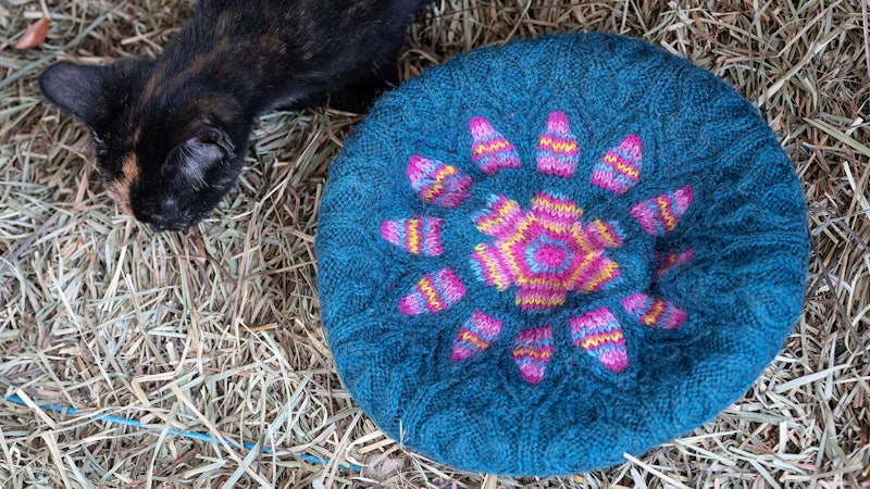 A blue tam with a flower-shaped starburst in pink rests on hay. A small kitten investigates.