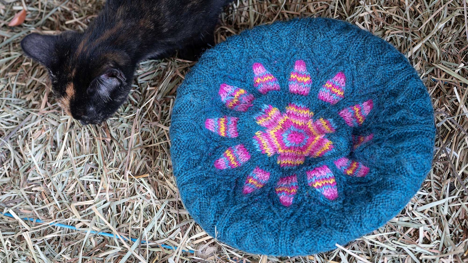 A blue tam with a flower-shaped starburst in pink rests on hay. A small kitten investigates.