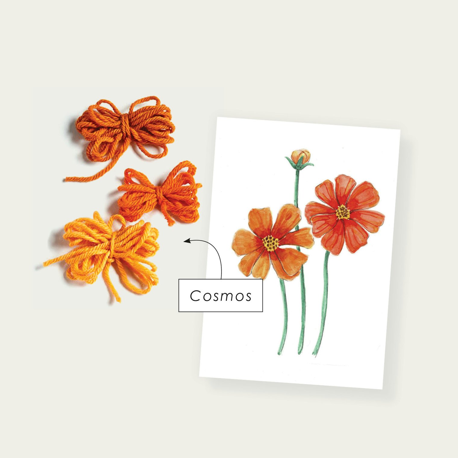 Cosmos