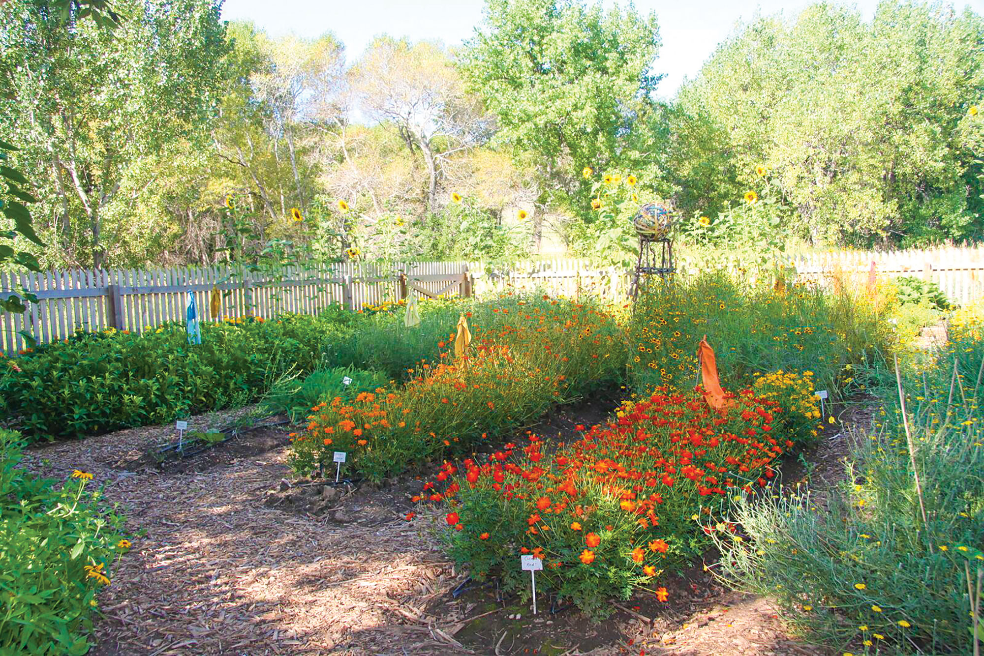 Dye Garden Planner Image