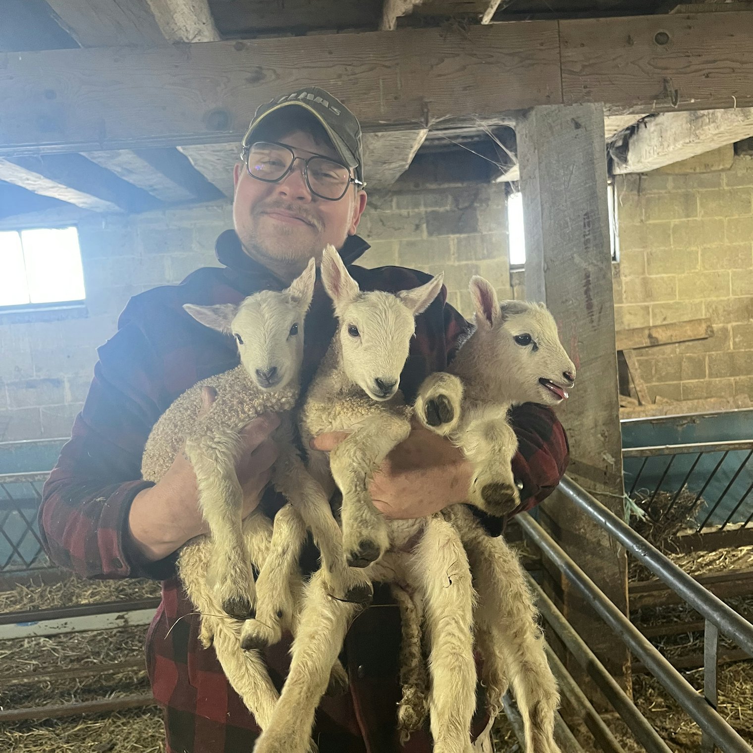 Drew Ross Manko holds triplet Cheviot lambs born at Ross Farm.