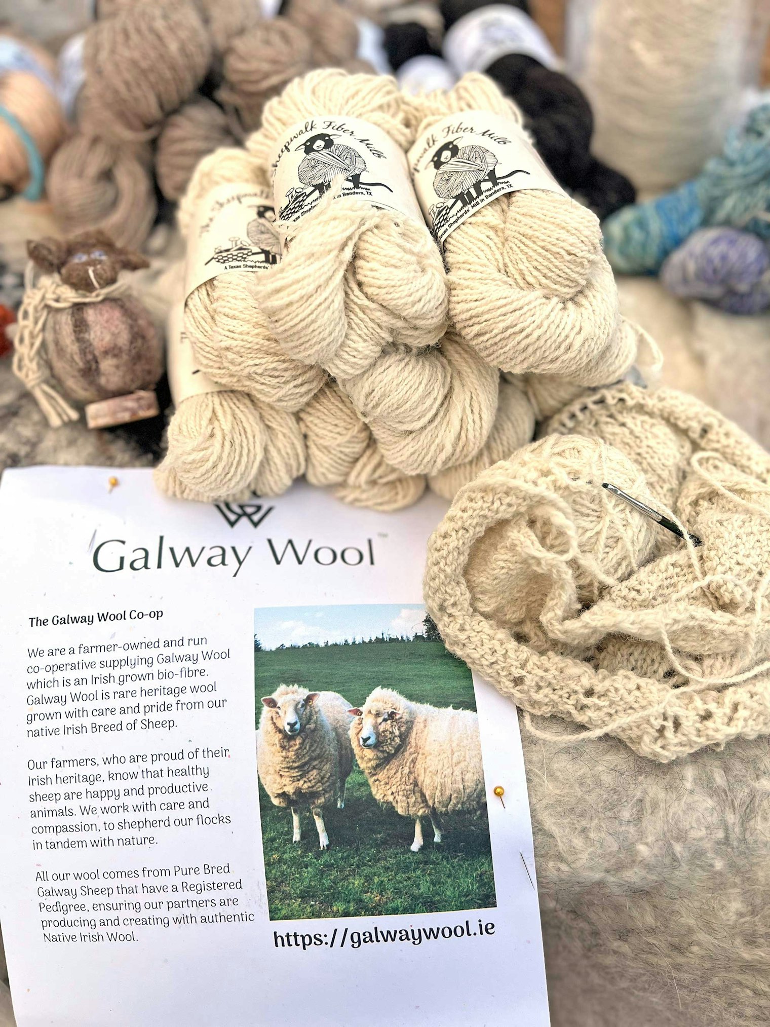 In November 2023, Jennifer had no idea that she would be at the beginning of a new adventure in collaboration with Galway Wool in west-central Ireland. Seven months later, she purchased 440 pounds of Galway wool for her fiber mill to process. According to Jennifer, “Our collaboration with The Galway Wool Co-Op makes us an ambassador for this wool breed. What we create will help stimulate interest in this rare breed and help its spokesperson Blátnaid Gallagher to bring Irish wool to the forefront.”