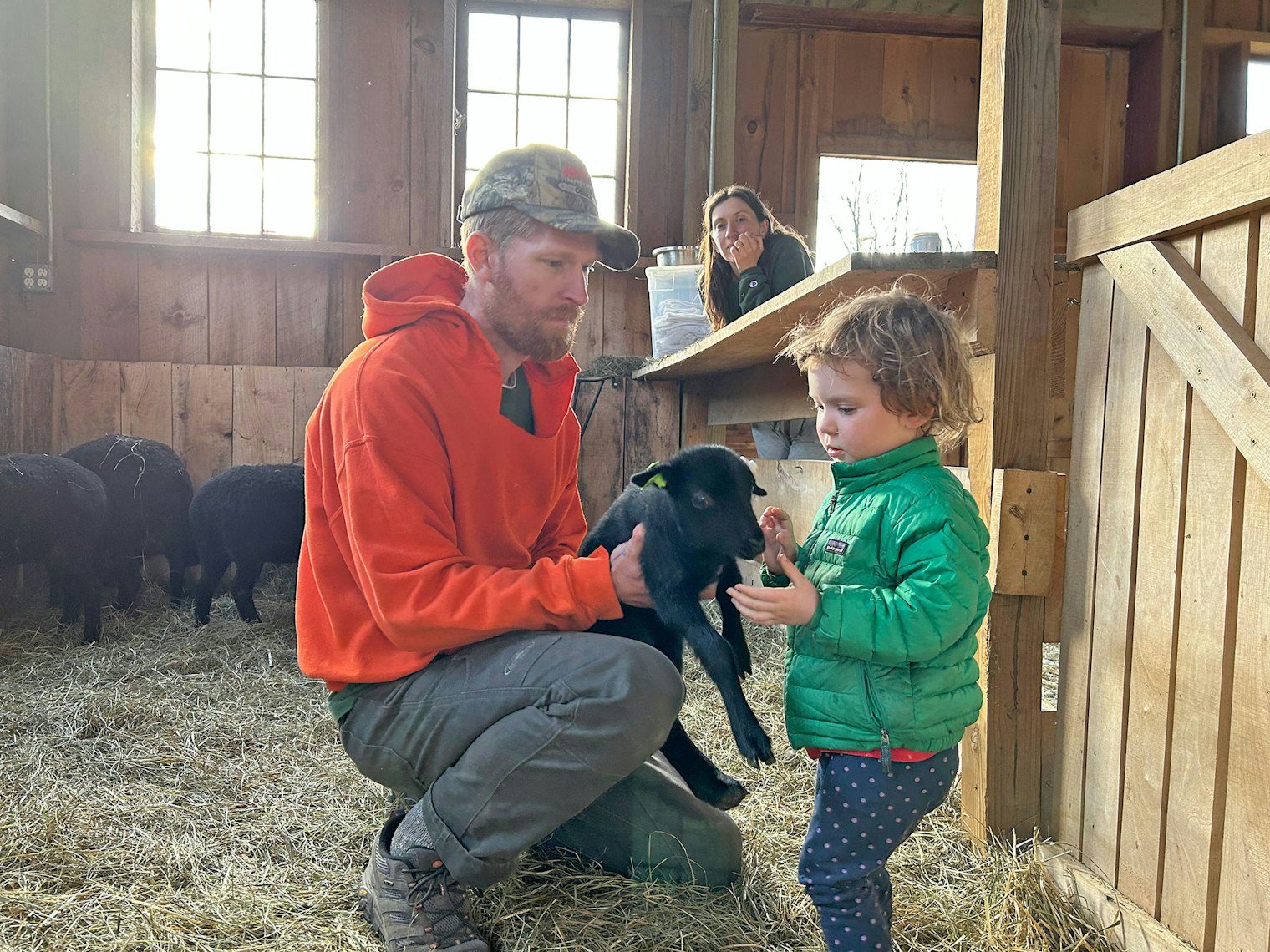 Farm manager Trevor Roush with daughter Goldie, checking out the lambs while mom Hannah Schiller Schmidt looks on.