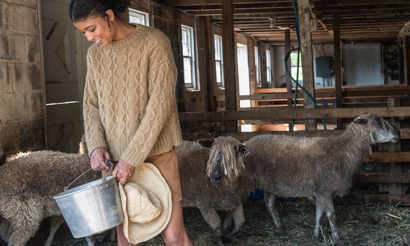 Woman in tan pullover with silver bucket in barn with sheep