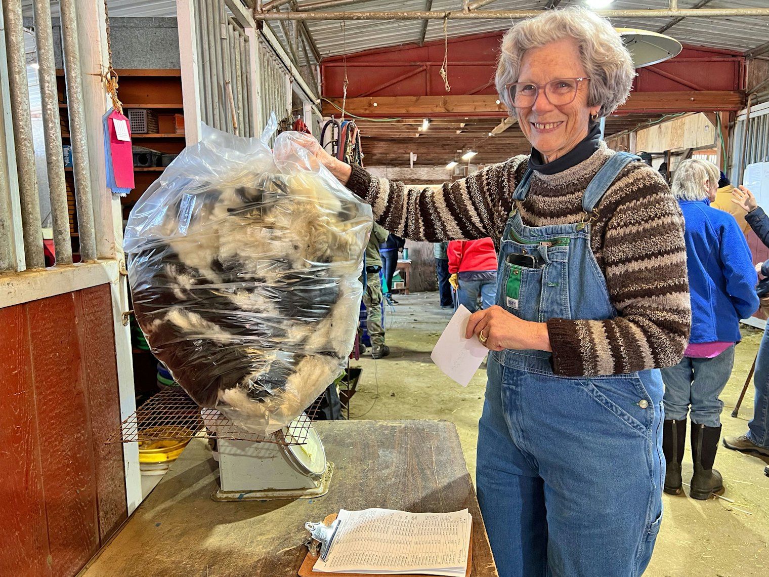 On shearing day, Farm Club members help skirt Jacob fleeces. Robin’s Farm Club friend Kathleen took on the job of weighing fleeces as they were shorn. She is wearing a sweater she knit from Jacob yarn she spun.