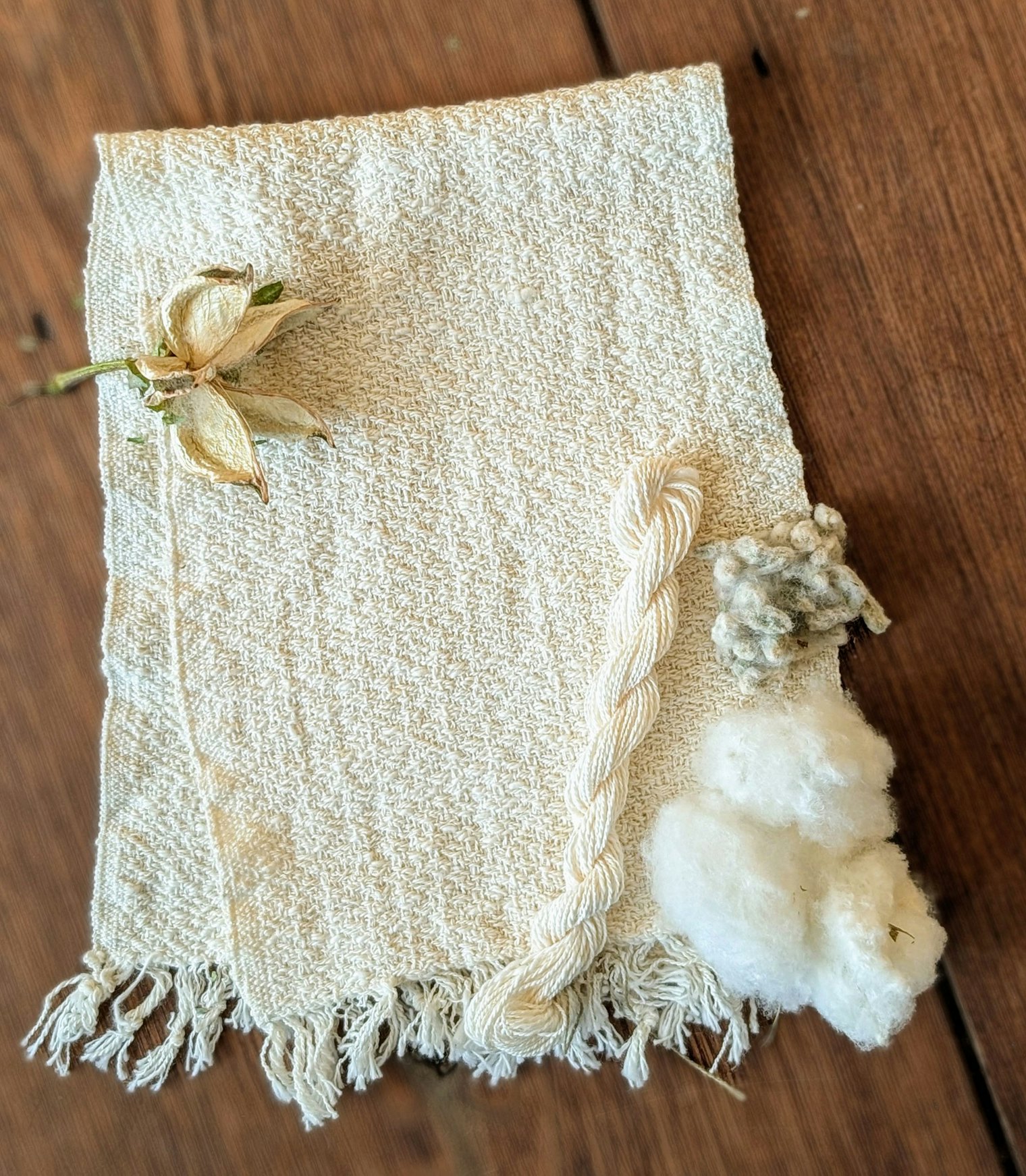 An example “from seed to textile;” the harvested cotton was spun into yarn and then woven into a beautiful handtowel.
