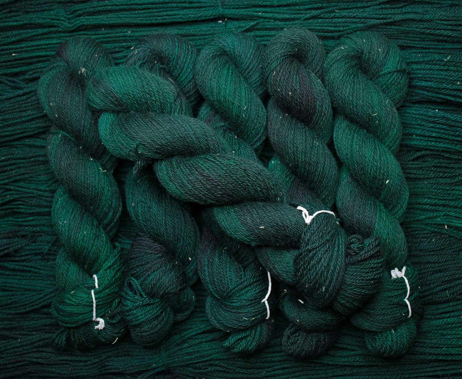 Megan plans to knit something substantial with her other new color, Emerald Dream Forest.