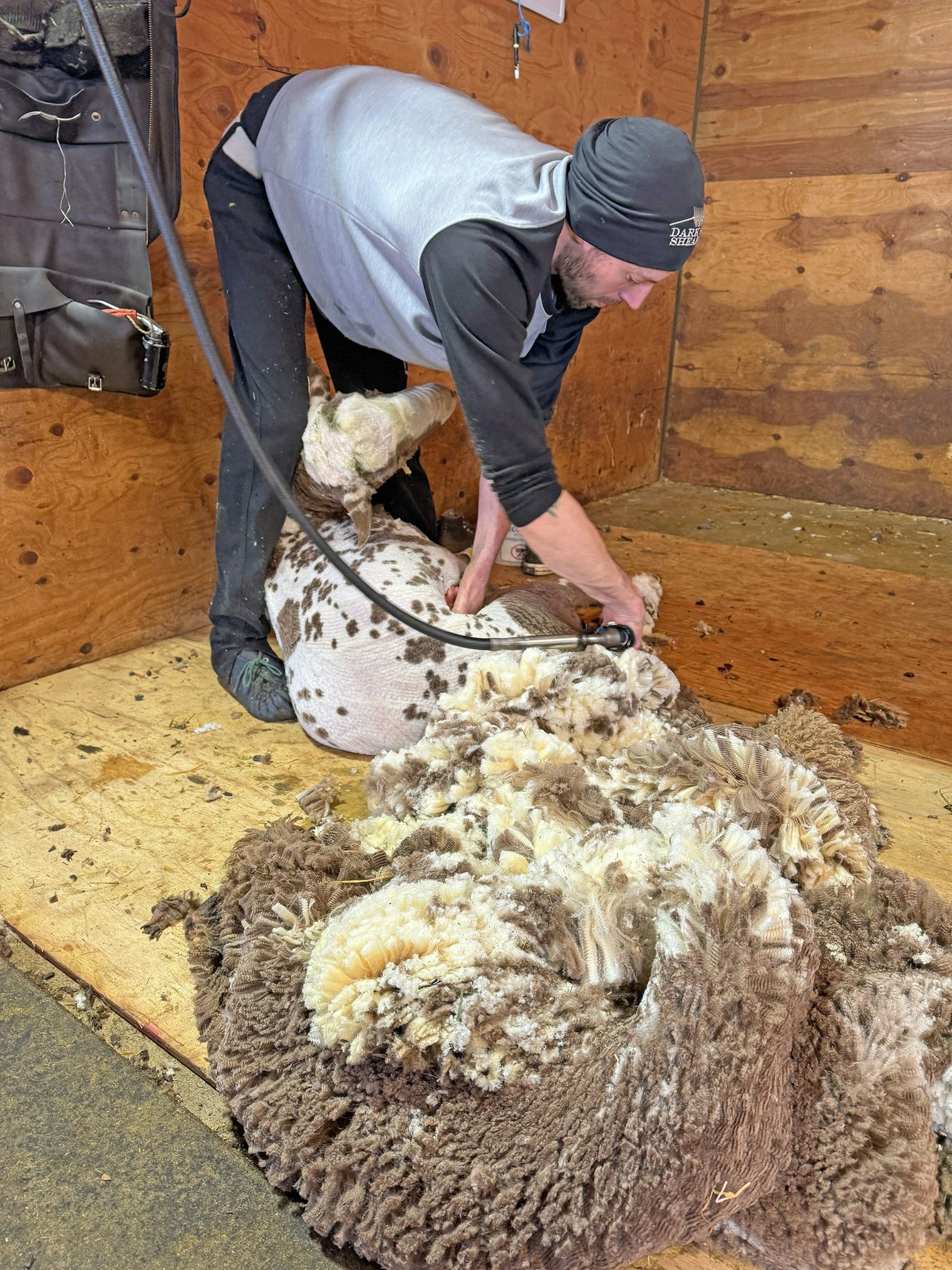 Professional shearer Jake Valentine.
