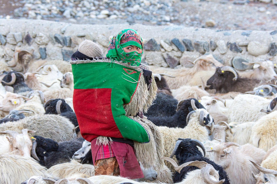 Elegant Crochet Scarf
