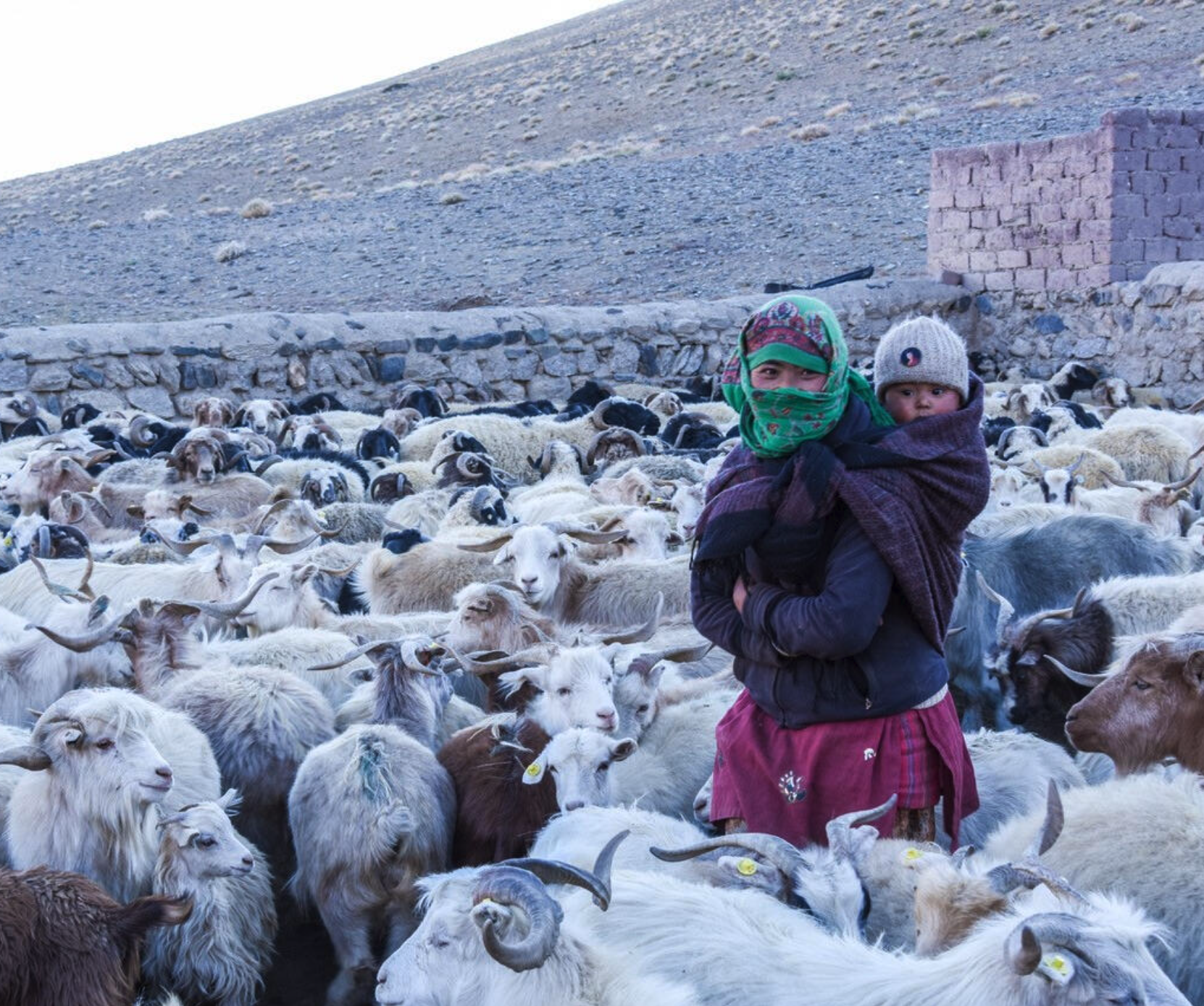 Contest Rules Example