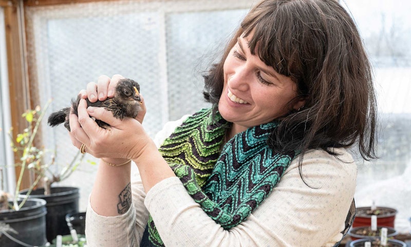 woman wearing green and turquoise cowl, holding a bird