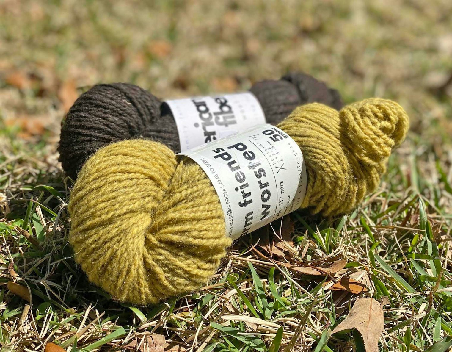 Shown back to front: Erika brought home a dark Rambouillet skein and a skein dyed with marigolds grown on the farm.