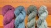 Pondering Palettes? Here’s Our Best Tip Image
