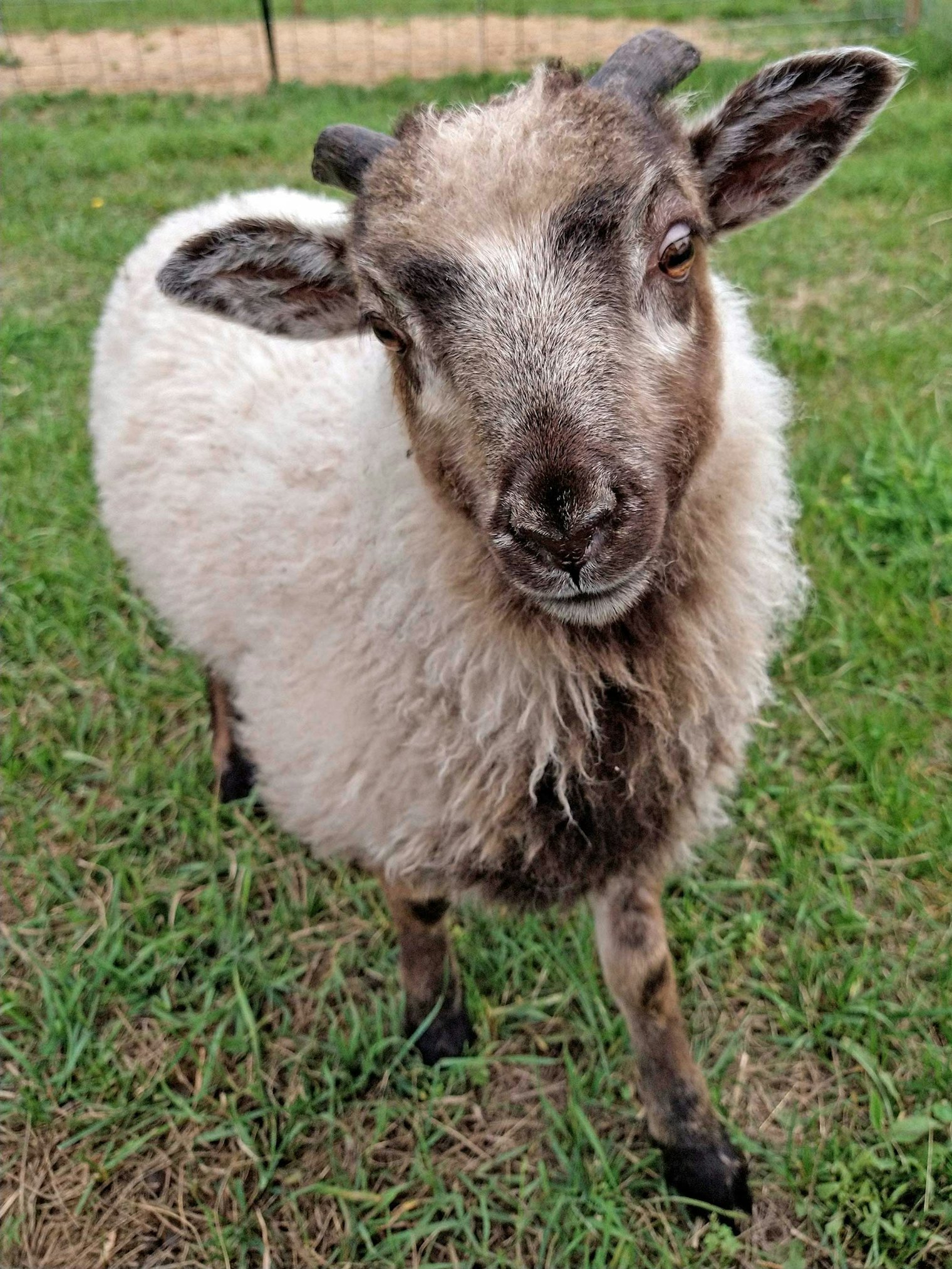 Jenson smiles for the camera.