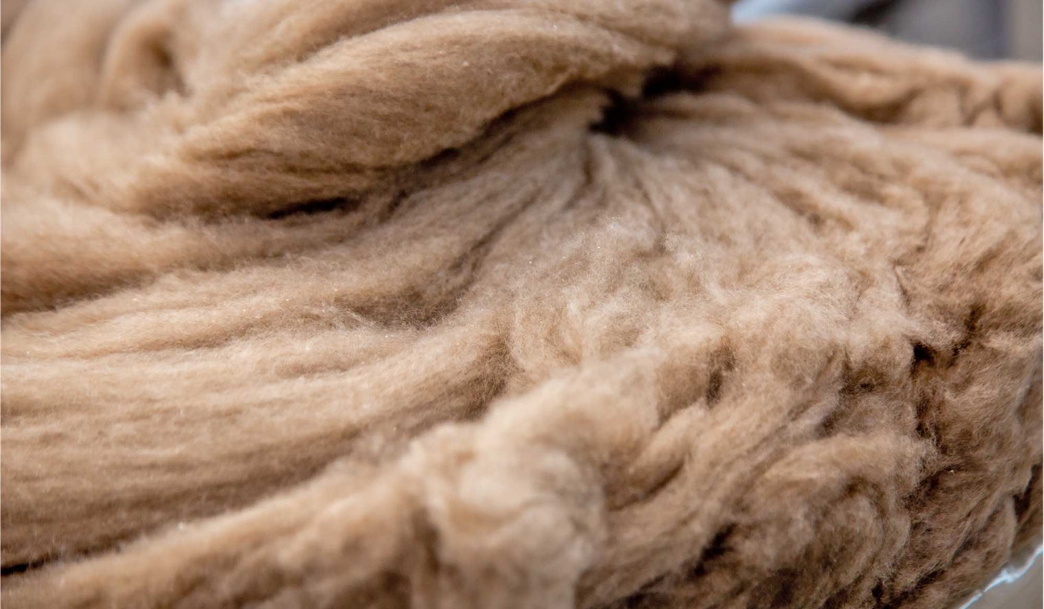 Cashmere fiber.