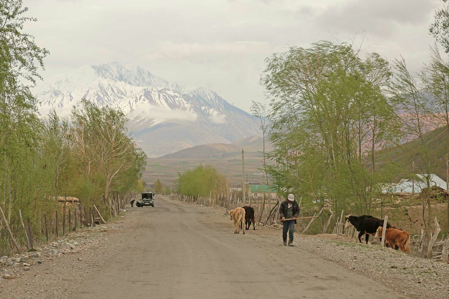 On the road in a mountain town