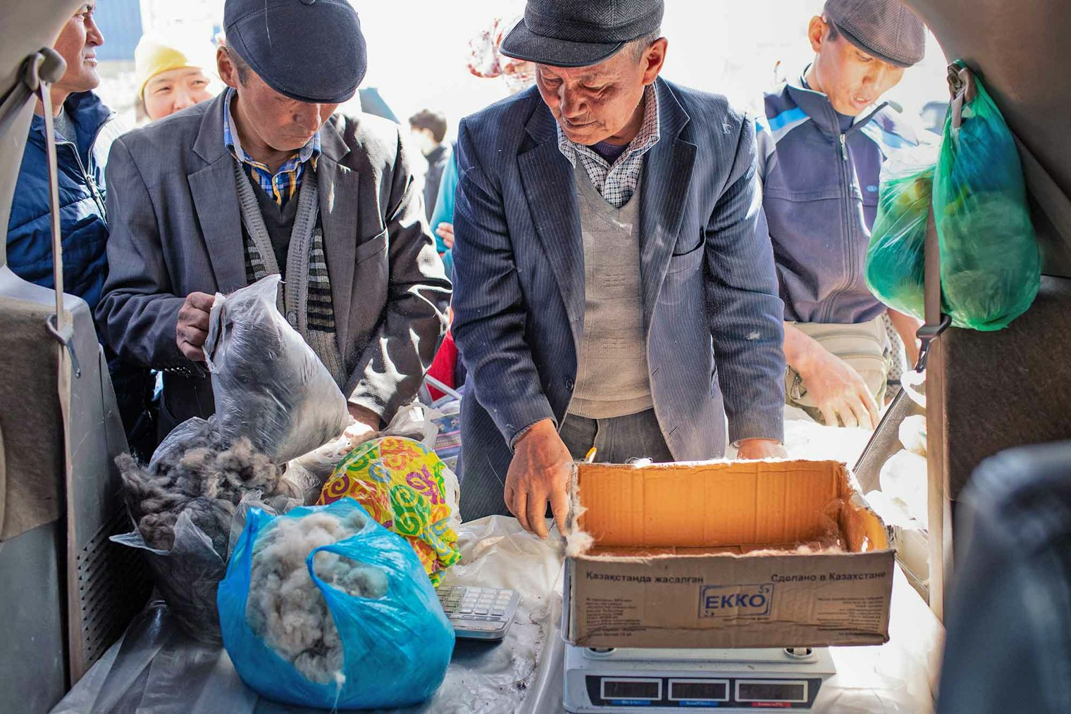 A herder showing his fiber to a June Cashmere buyer.