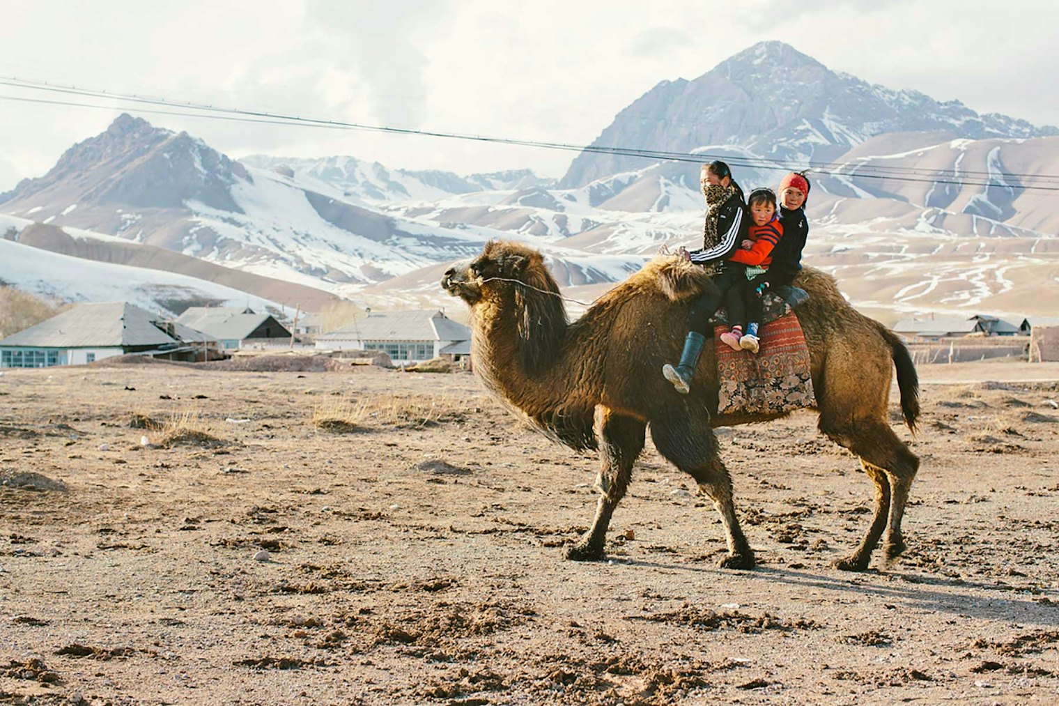 A Kyrgyz family on camelback.