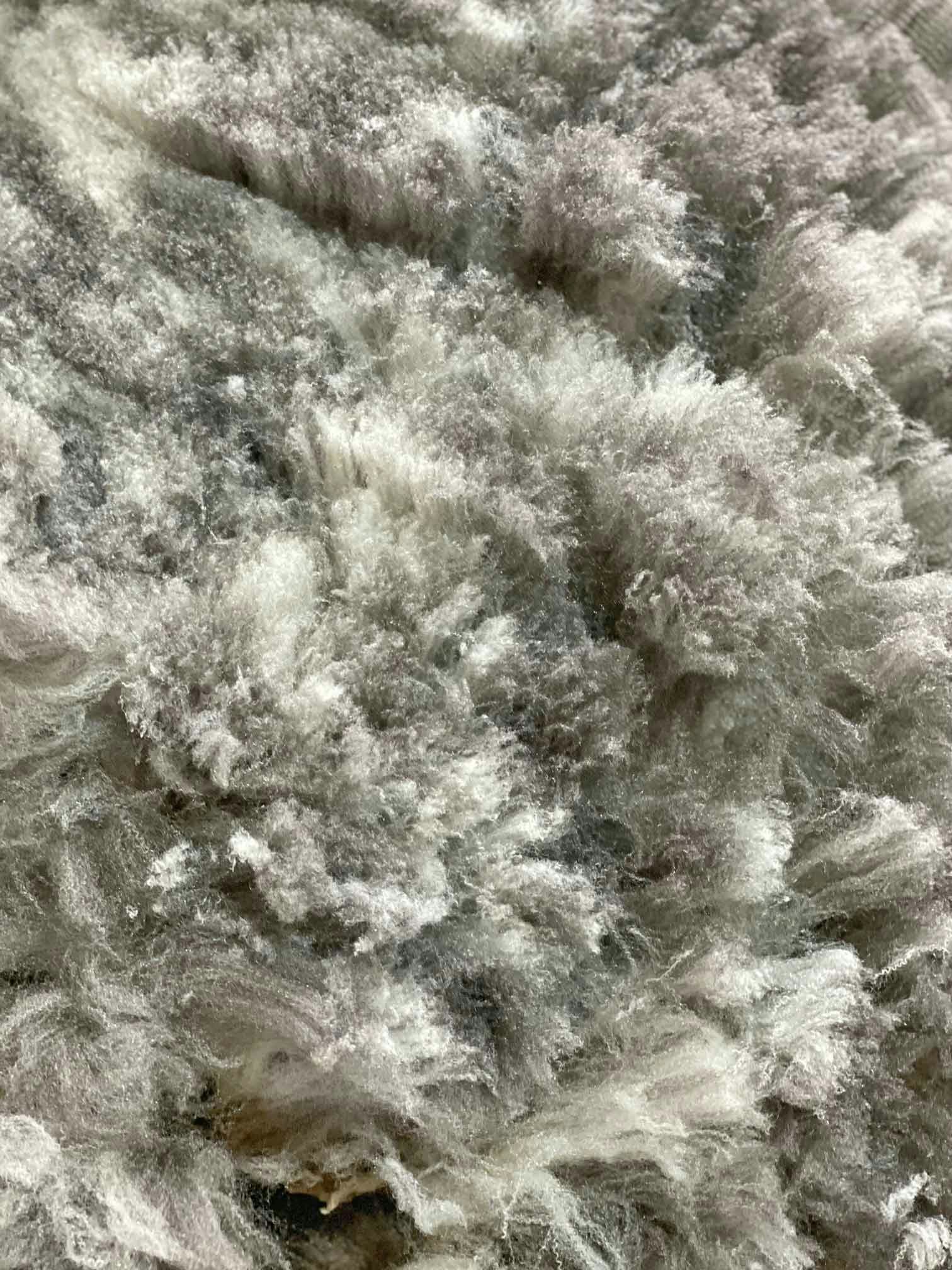 Romeldale/CVM fleece comes in many different colors, even spots. Photo by Diana Weinhardt-Treangen