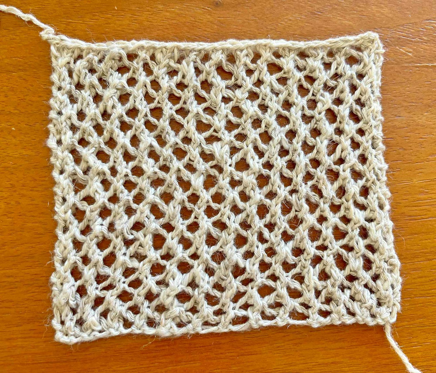 Lindsay plans to knit a reusable grocery bag using this simple mesh pattern.