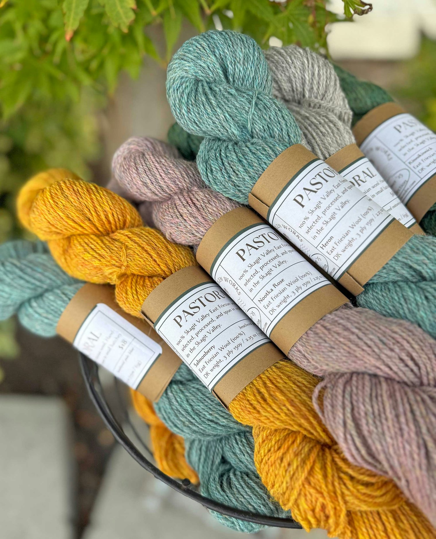 Pastoral Yarn from the Summer 2025 Collection. According to Jess and Anna, "This lofty, sturdy yarn is as local as it gets—grown by a flock of East Friesian dairy sheep in the Skagit Valley, and processed in the Skagit Valley. We dye it in the lock and blend it for a beautiful heathered effect." Photo by Jessica Schwab