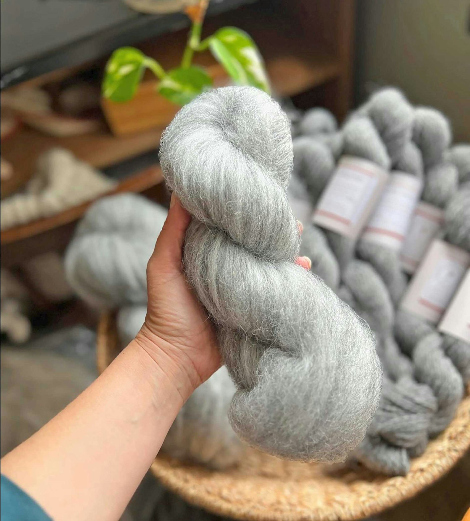 Roving and yarn from a blend of Gotland and Targhee. Photo by Jessica Schwab