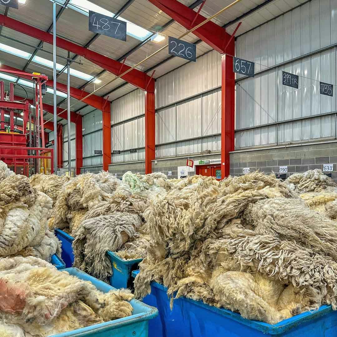 Wool is sourced from the British Wool Board; here the wool is sorted and graded by hand.