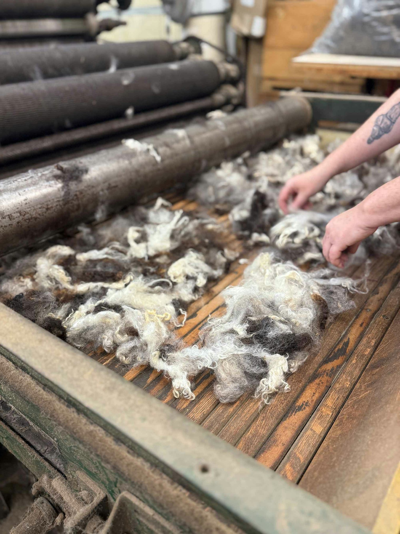 After going through the picker, the fiber is loaded onto the carder.