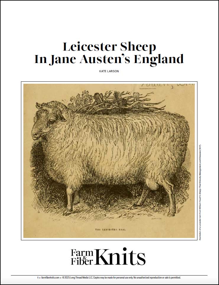 Leicester Sheep In Jane Austen’s England Image