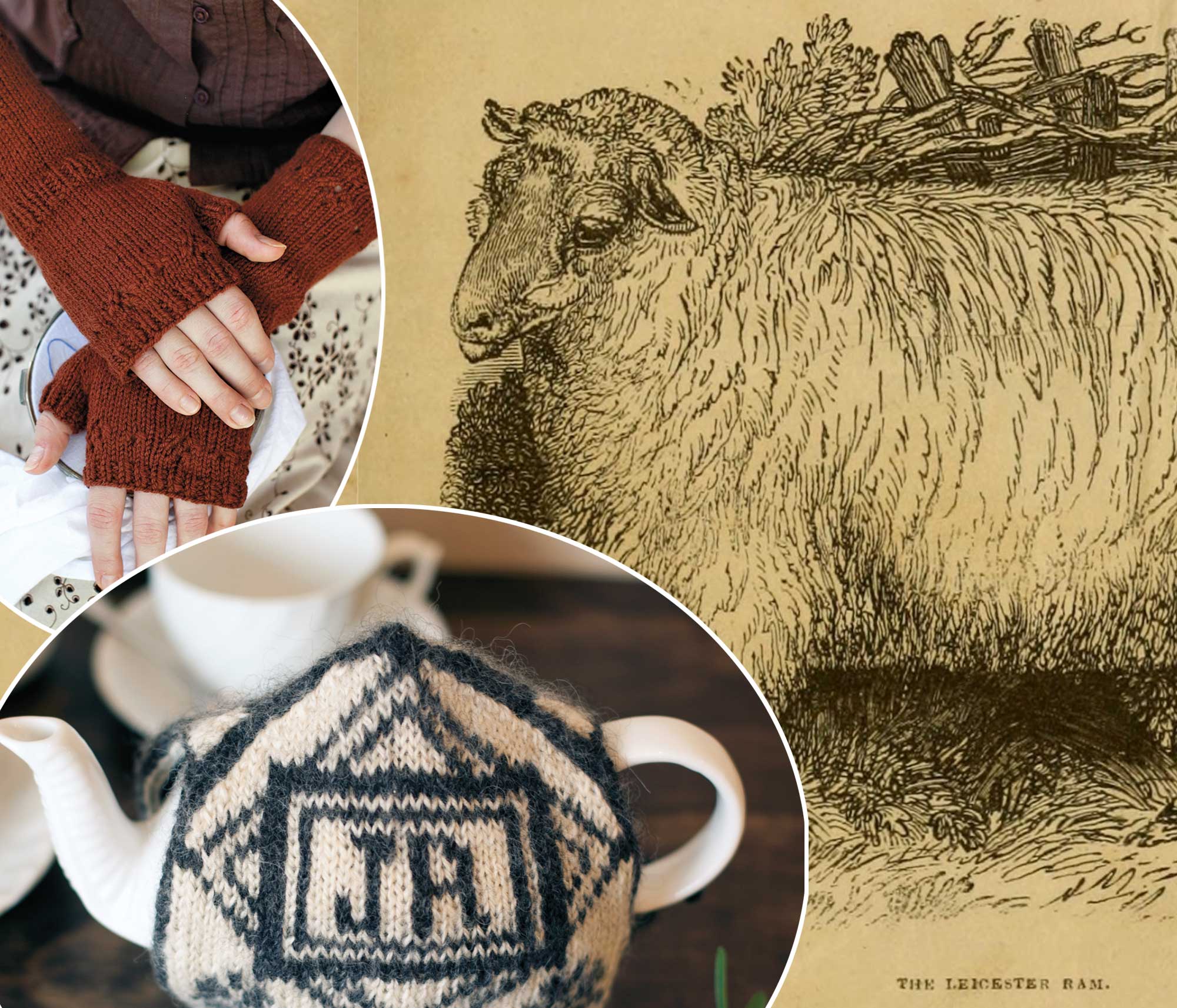 Jane Austen Collection Image