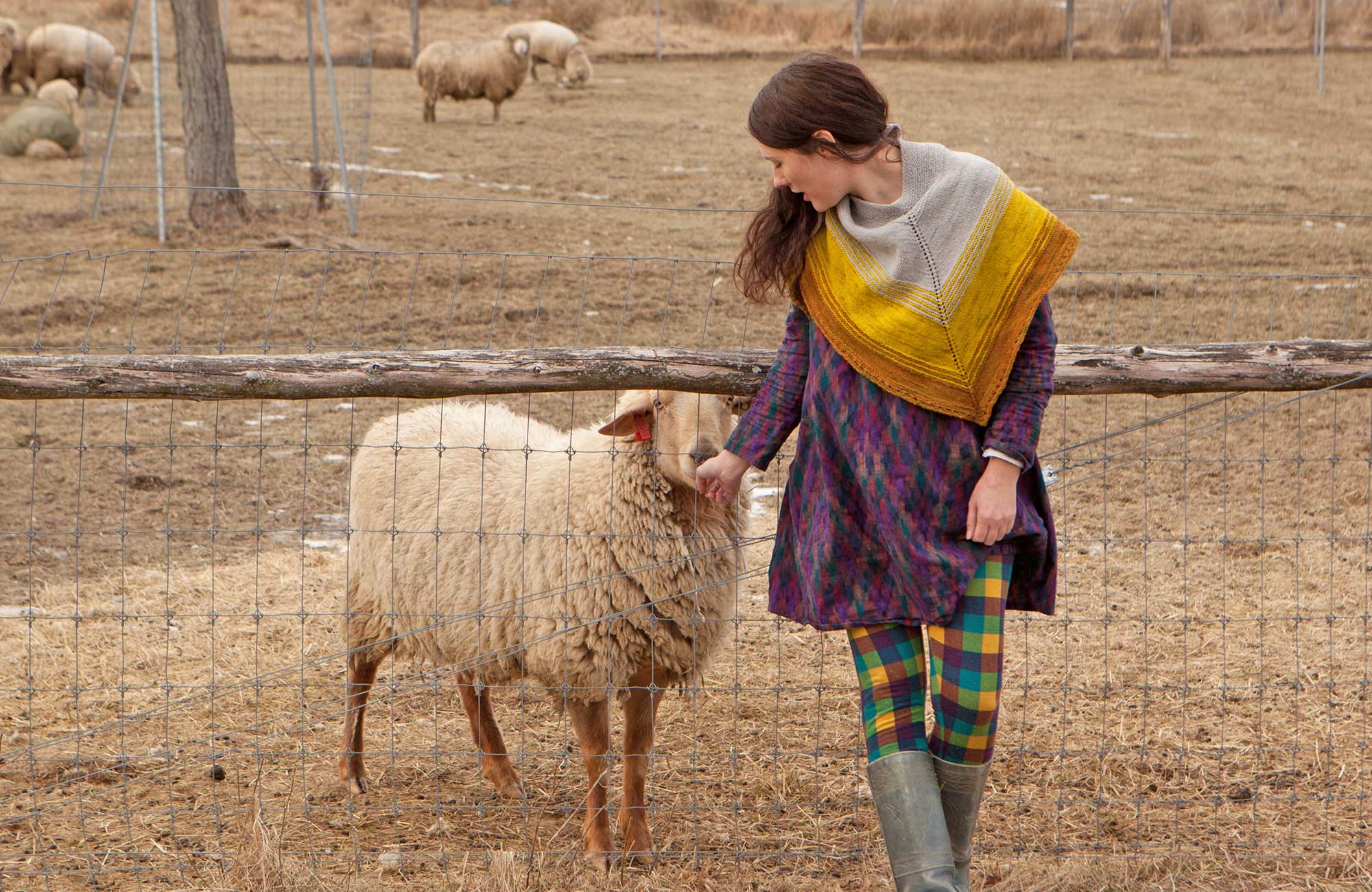 Jill Draper Makes Stuff: Breed-Specific Yarn in the Hudson River