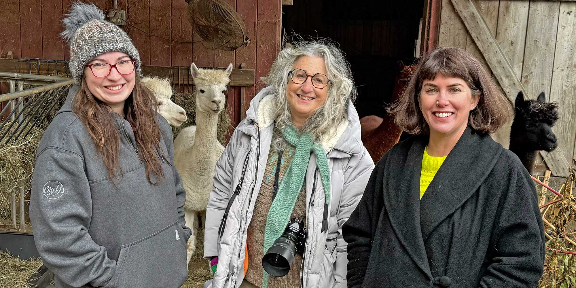 I Spy an Alpaca! | Farm & Fiber Knits