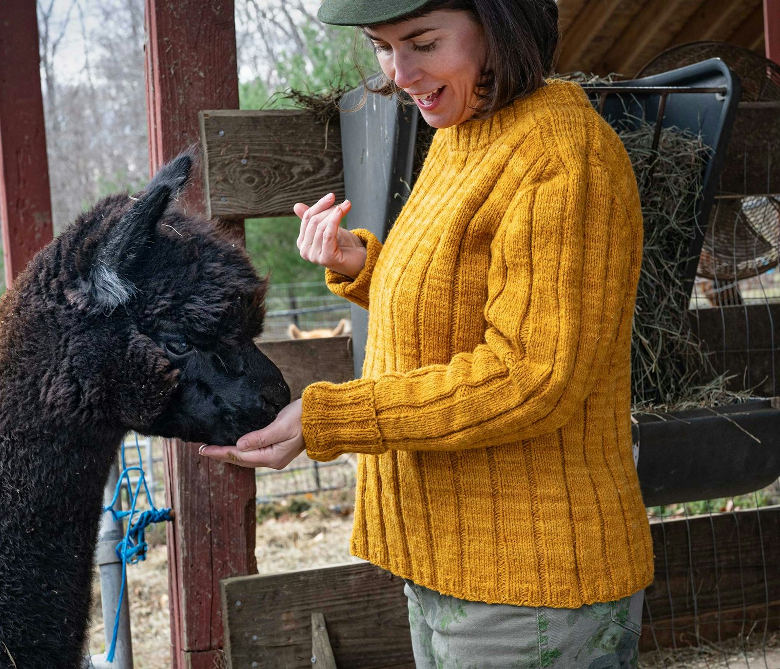 The Northern Exposure Pullover gets its robust, bouncy texture from Suffolk, a rarely used wool. Wyoming’s Mountain Meadow Wool strives for zero-waste wool processing as they create a market for Western wool. Photo by Gale Zucker