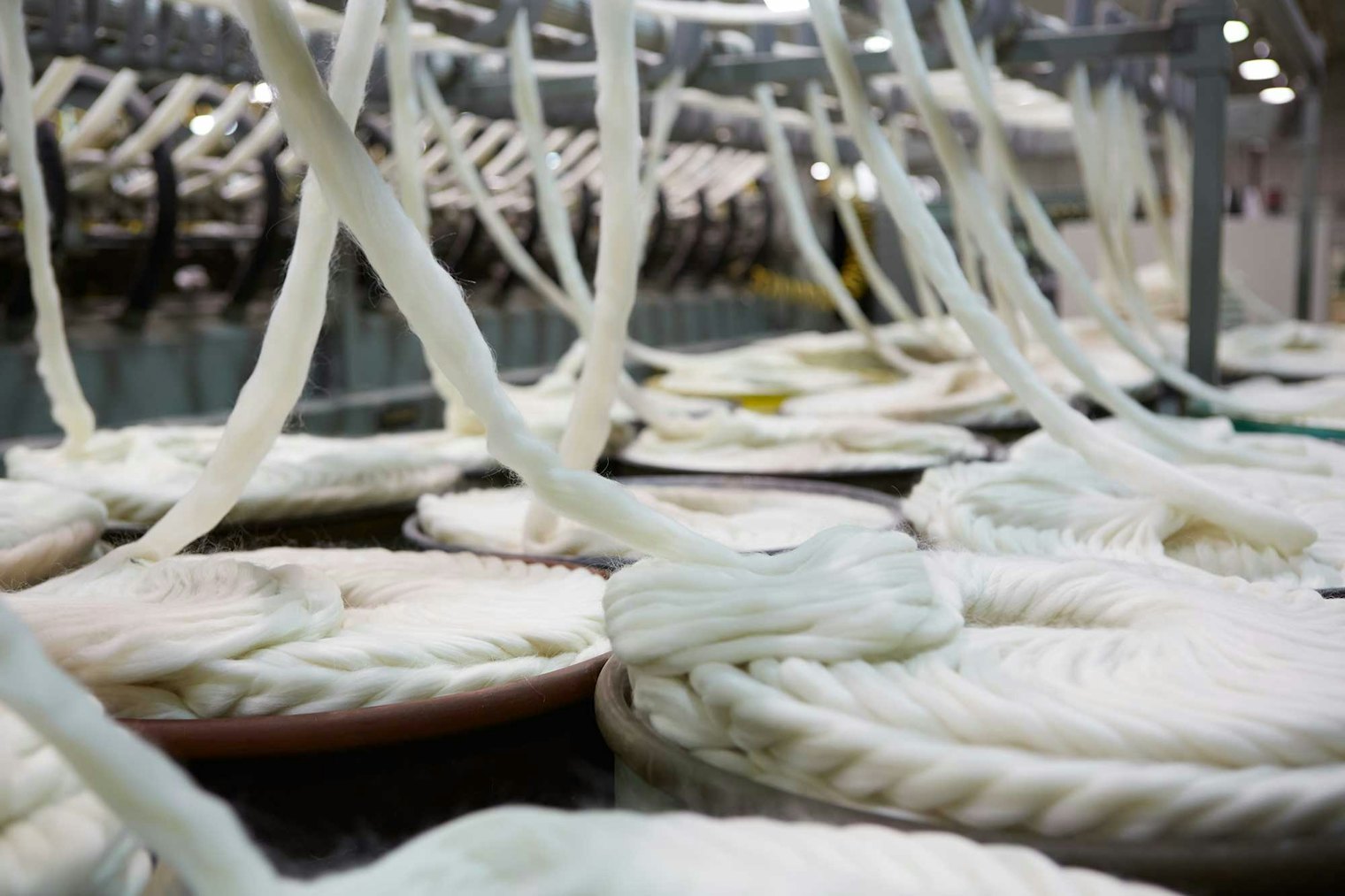 Roving in barrels is feeding wool into the spinning frame.