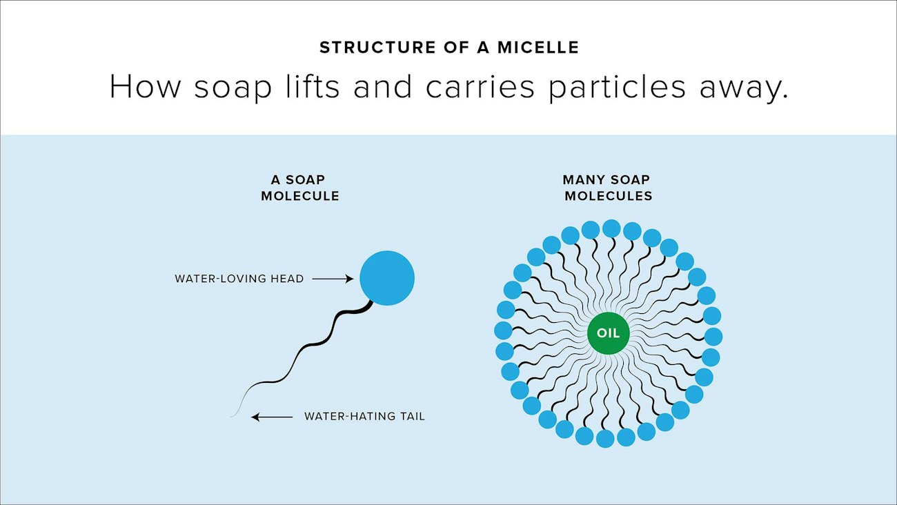 Soap Microstructure Caring for Naturally Dyed Yarn: Why Soap Matters | Farm & Fiber Knits