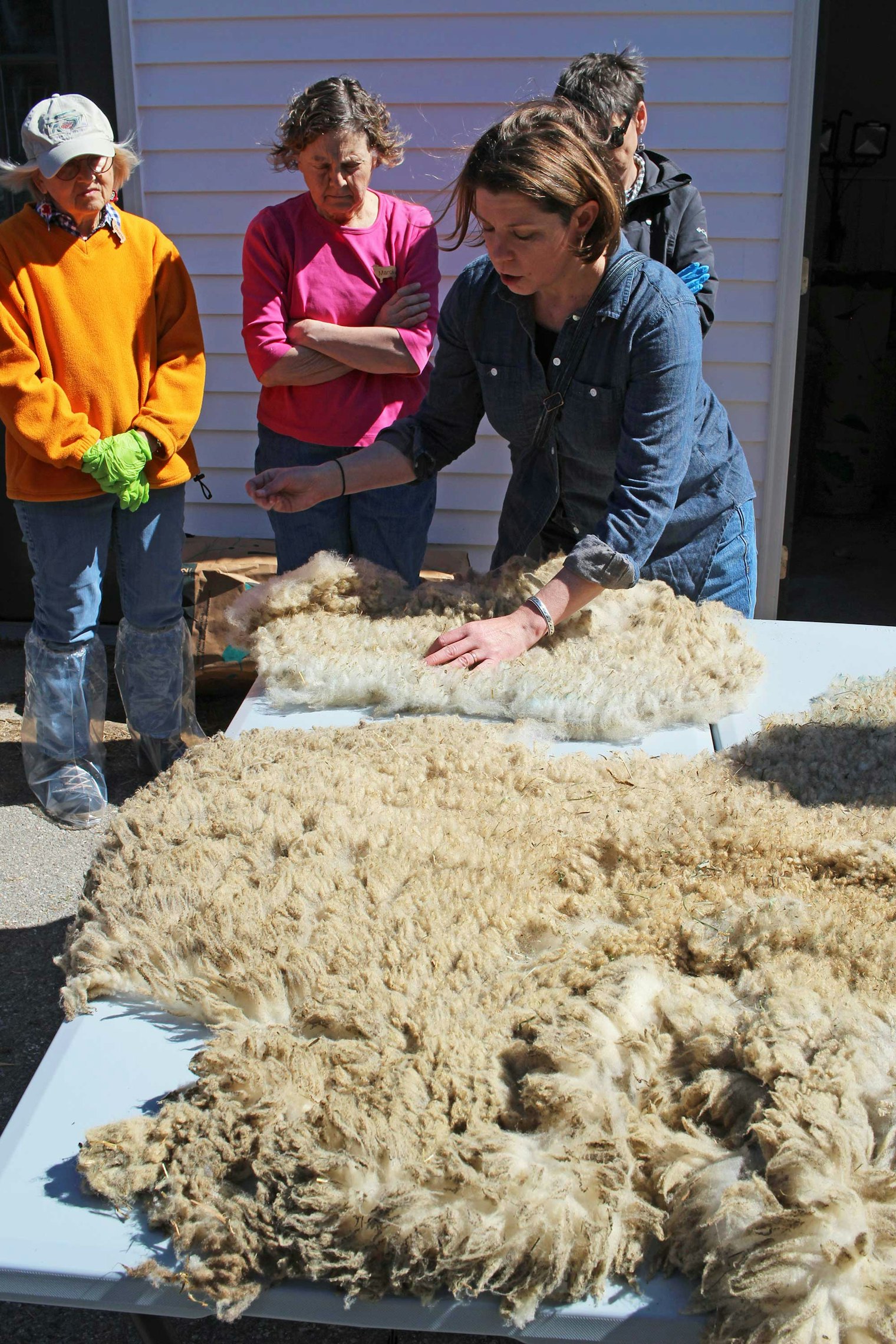 Kate Larson explains the ins and outs of skirting a fleece once it’s been shorn, before the guests get to try their hand at it.
