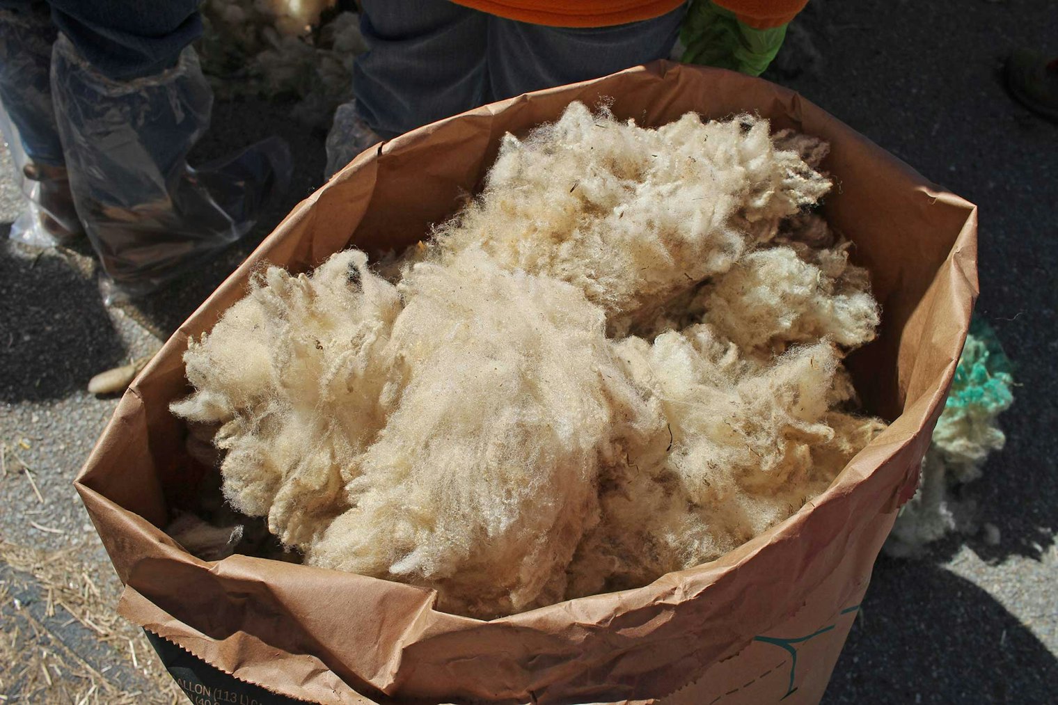 A bag of clean fleece that’s ready for the mill.