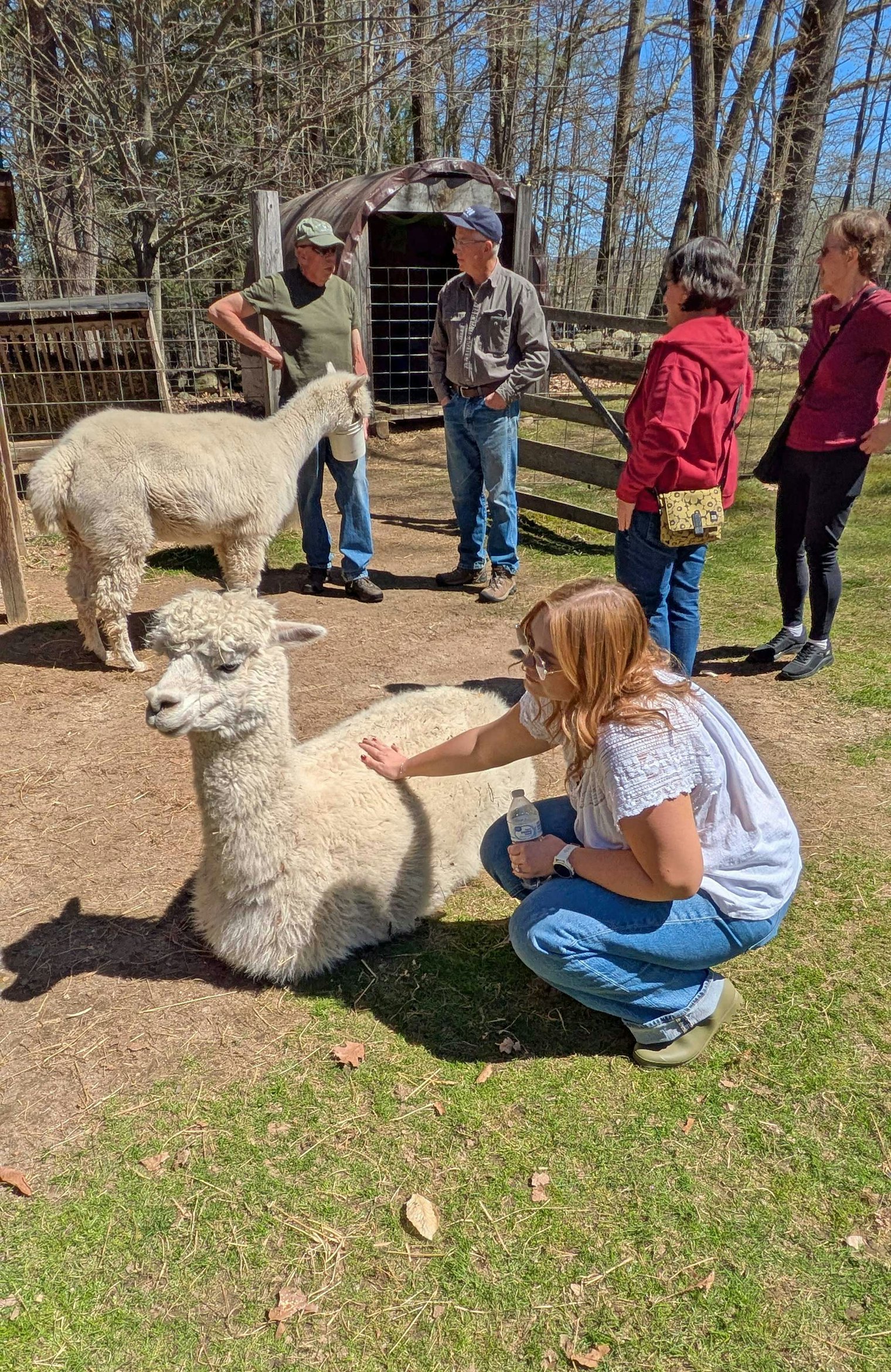 Guests enjoyed feeding and nurturing these gentle creatures.