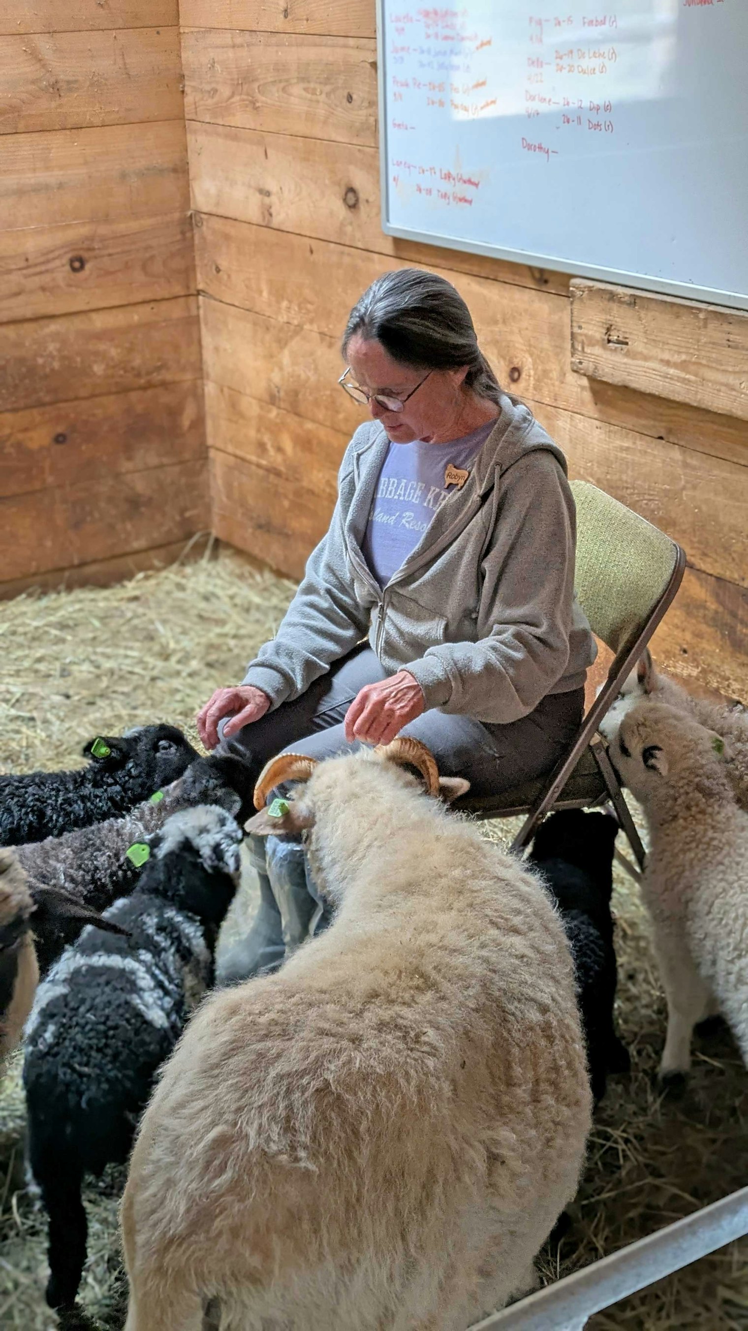 A guest meets the newest members of the flock at Wing & A Prayer.