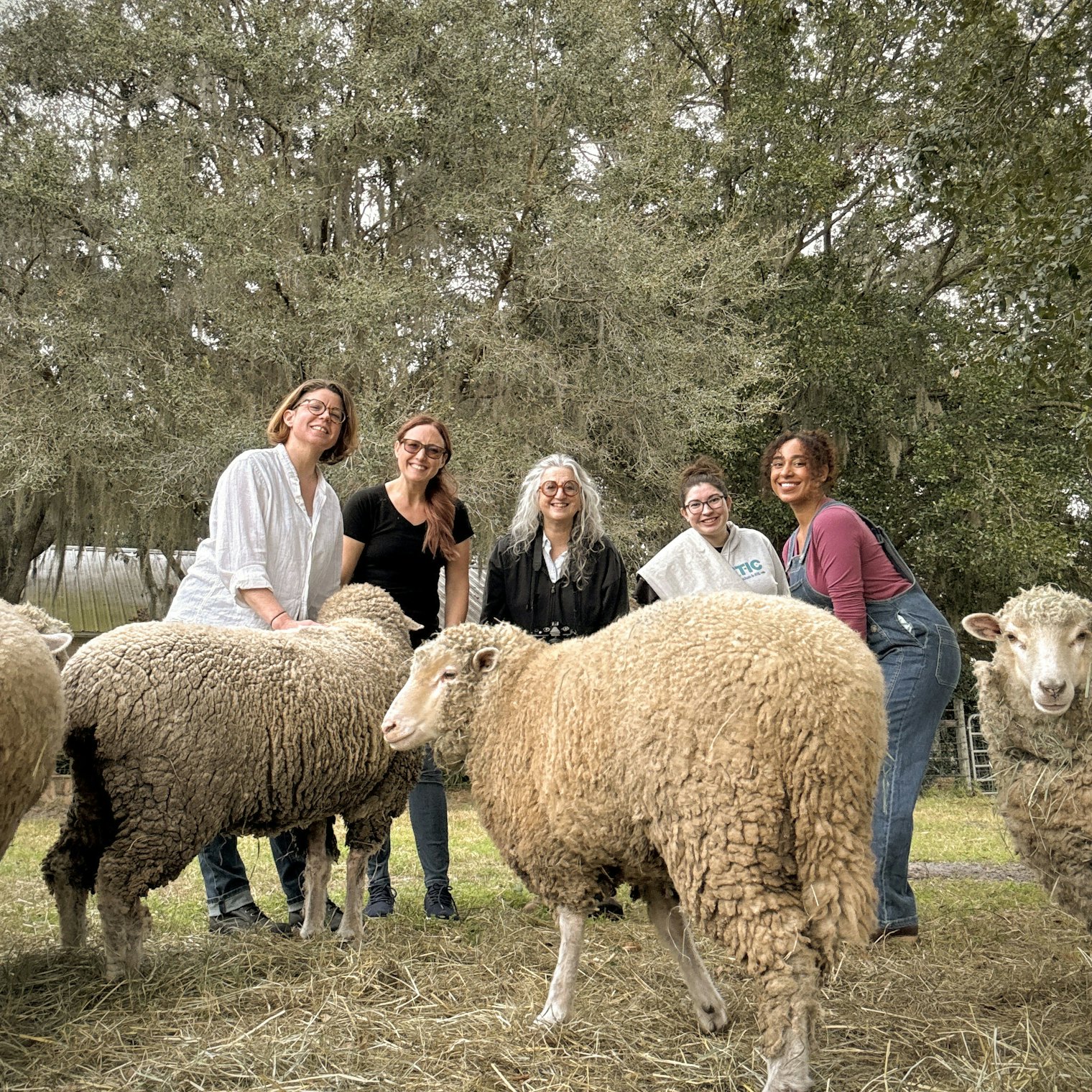 The Farm & Fiber Knits team, from left: Kate Larson, Tiffany Warble, Gale Zucker, Yliana Mancini, our other model Sheila Colon, and our new sheep friends. Photo by Gale Zucker