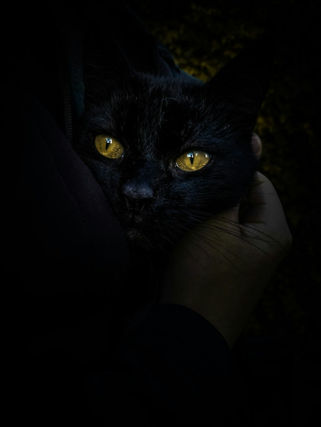 Home Security Door Sensors Going Off? How to Stop a Beeping Door Alarm