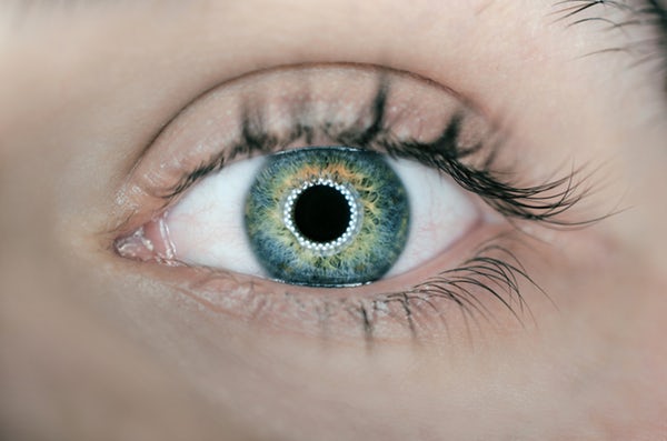 Cove Biometrics