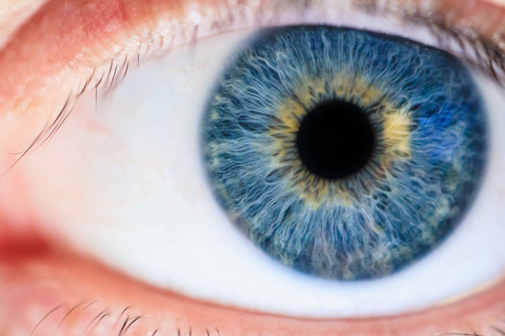 Close up of a blue eye.