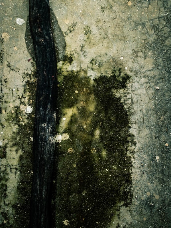 Mold caused from flooding that could have been avoided with an automatic water shut off valve and flood sensors.