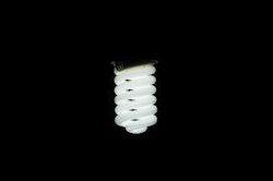 round light bulb